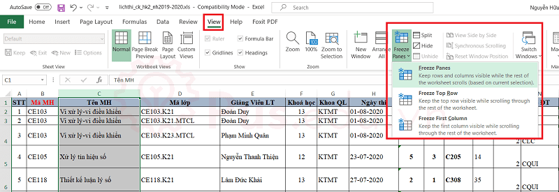 cach co dinh dong va cot trong excel 21