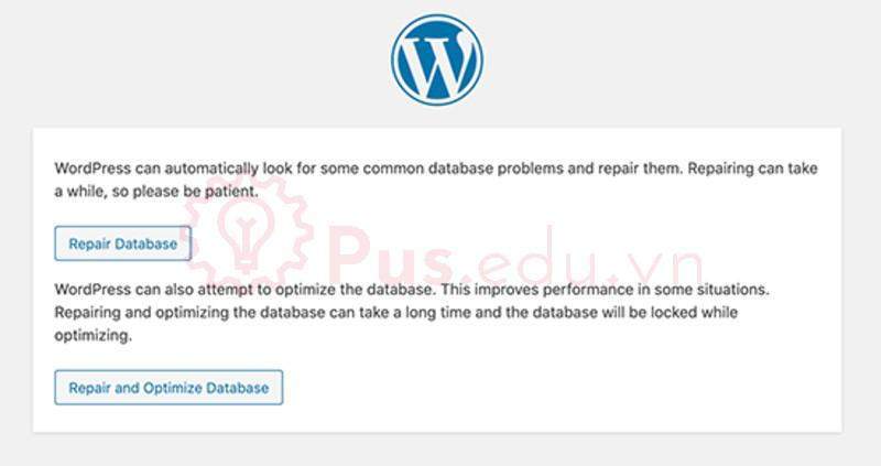 error establishing a database connection wordpress 6
