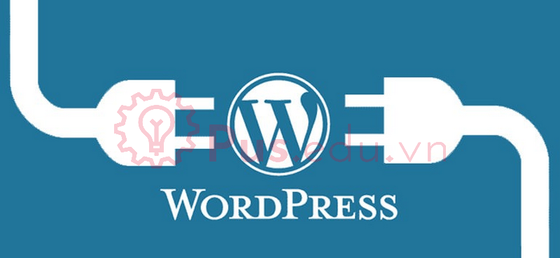 plugin can co wordpress 1