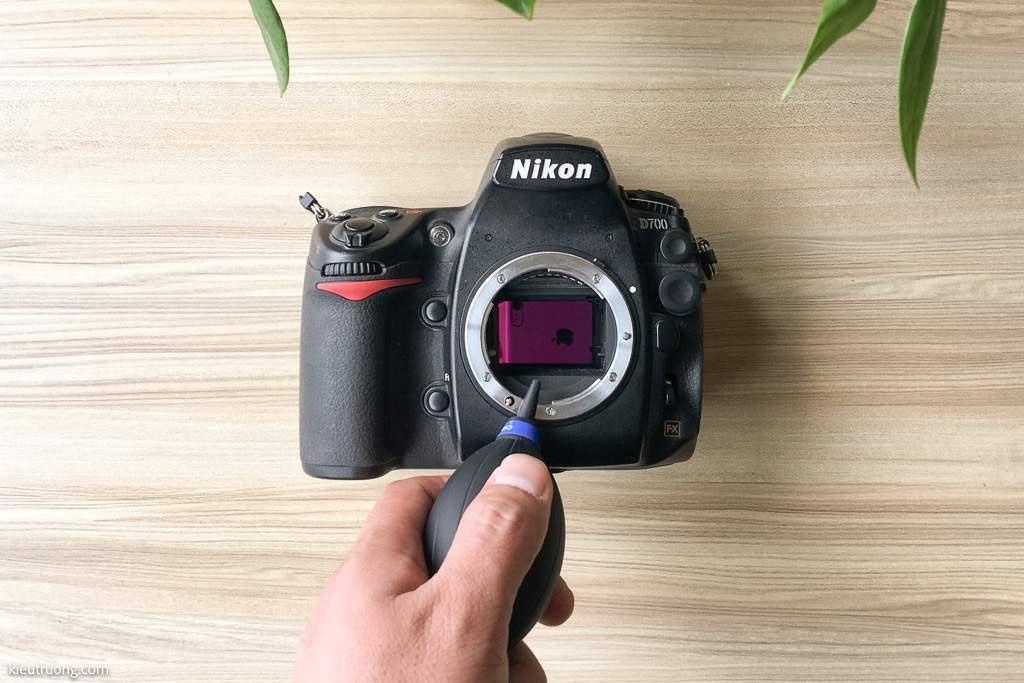 Cách lau Sensor máy ảnh Nikon