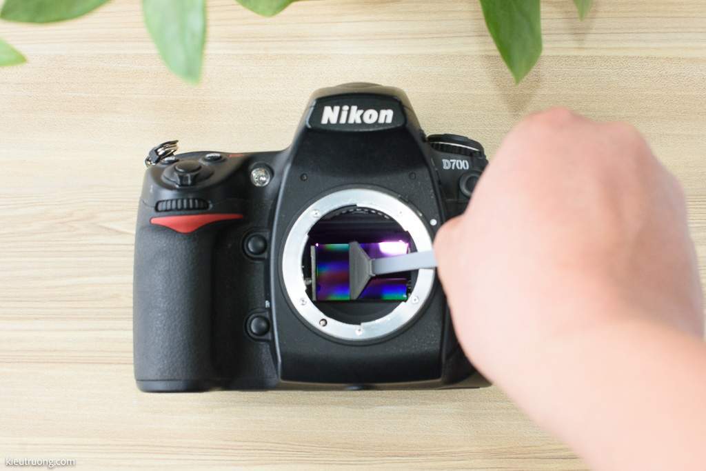 Cách vệ sinh máy cảm biến máy ảnh Nikon D700