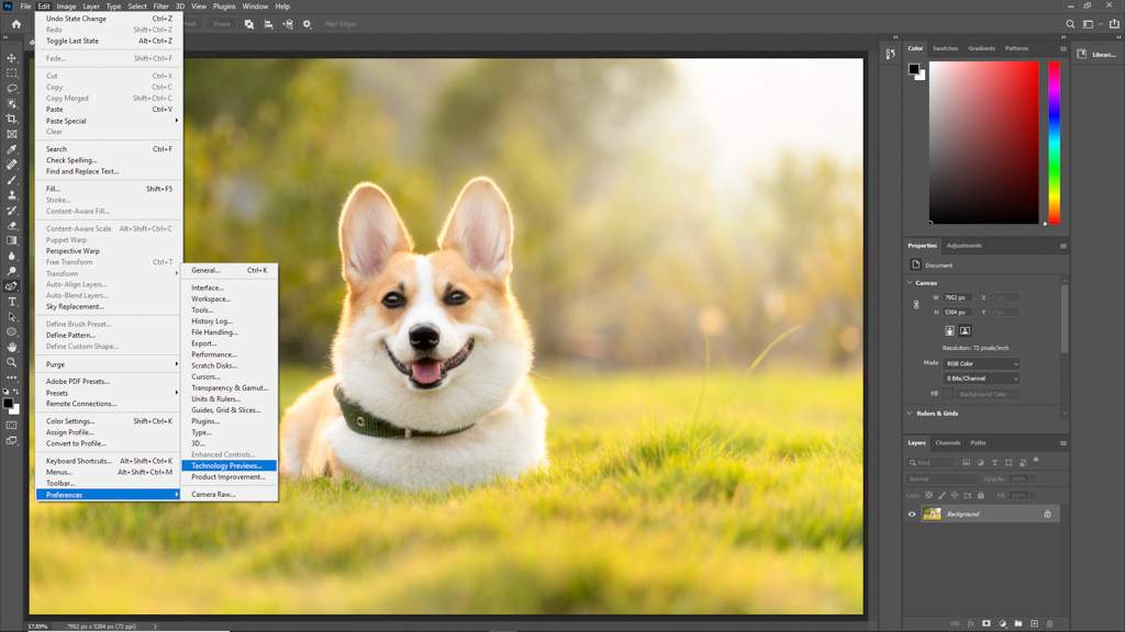 Content-Aware Tracing Tool Photoshop 2021