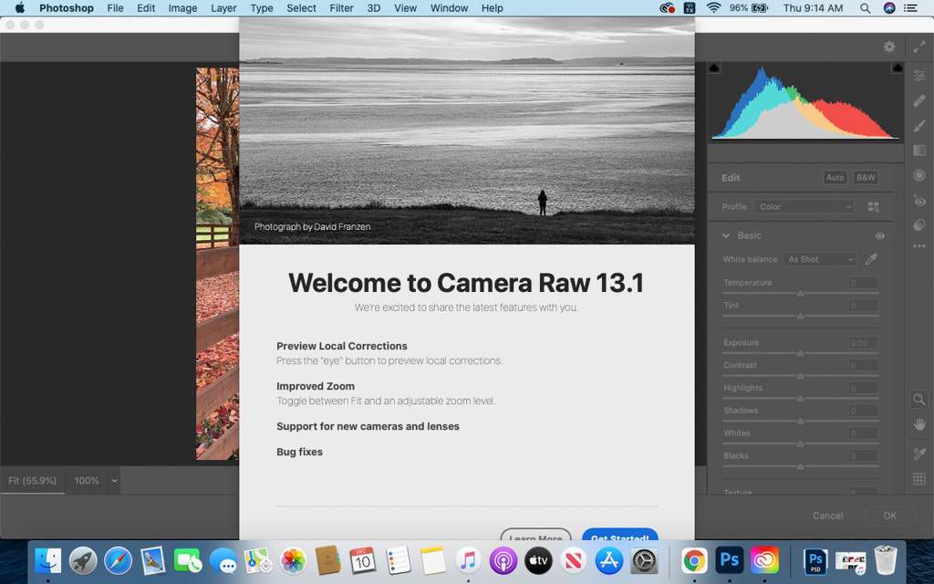 Download Camera Raw 13.1