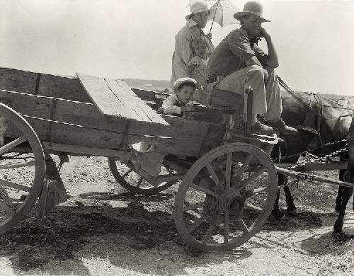 Một gia đình nông dân Mỹ, ảnh của tác giả Dorothea Lange.