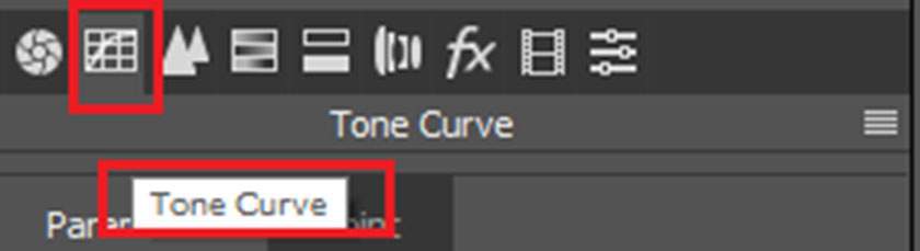 tone Curve