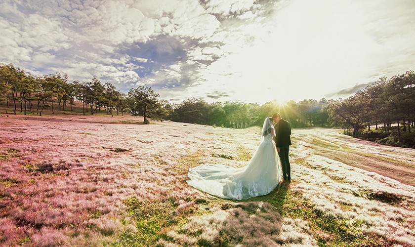 Ảnh cưới ở đồi cỏ hồng