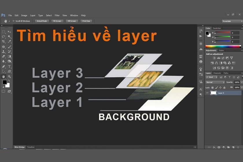 layer trong photoshop