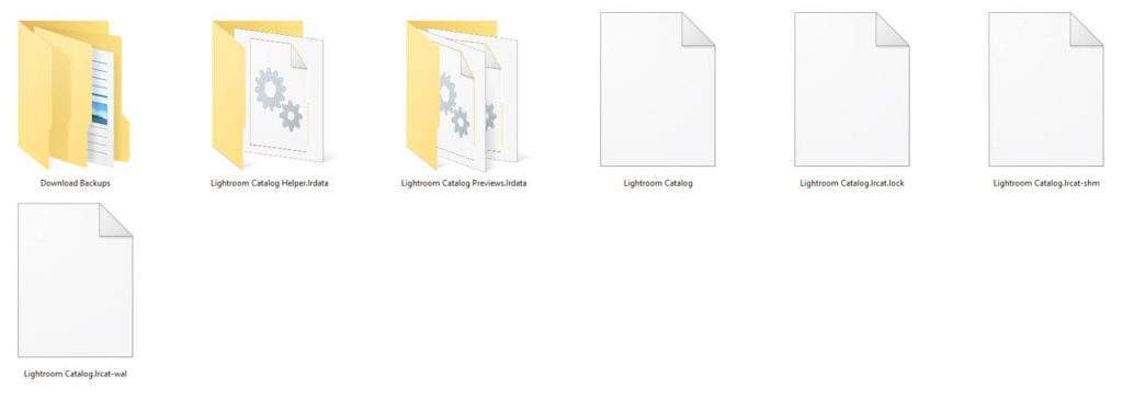 lightroom catalog