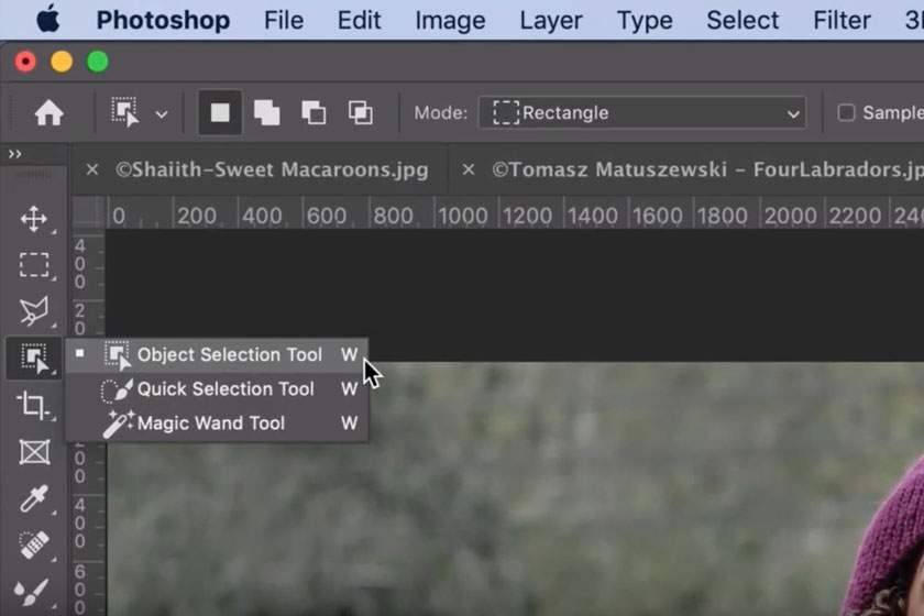 photoshop quick selection tool