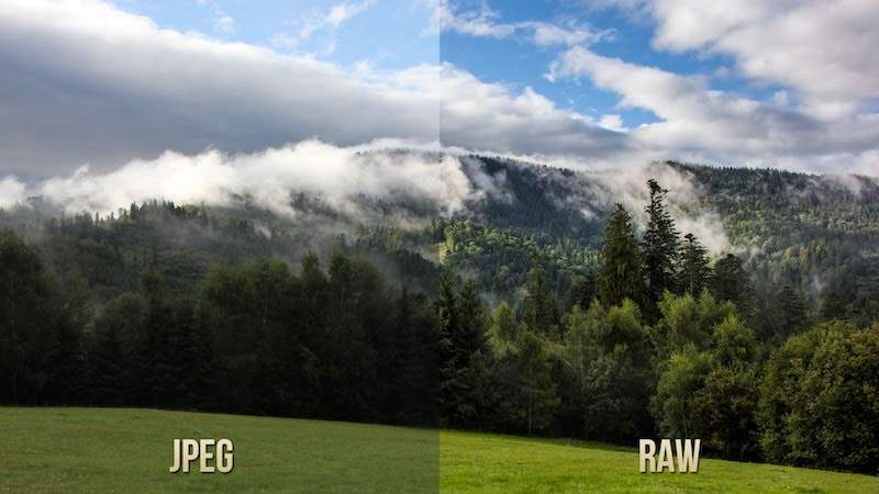 Hình ảnh giữa định dạng JPEG và Raw