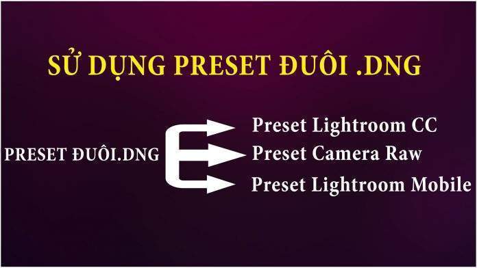 Cách sử dụng dụng preset đuôi DNG cho Lightroom, Camera Raw và Lightroom Mobile